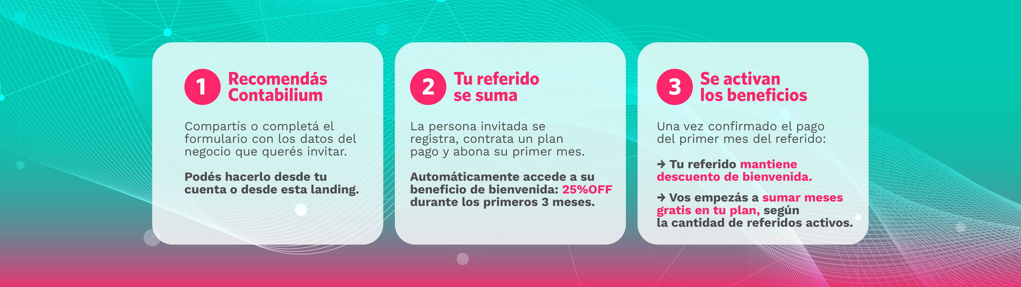 Cómo funciona el programa 